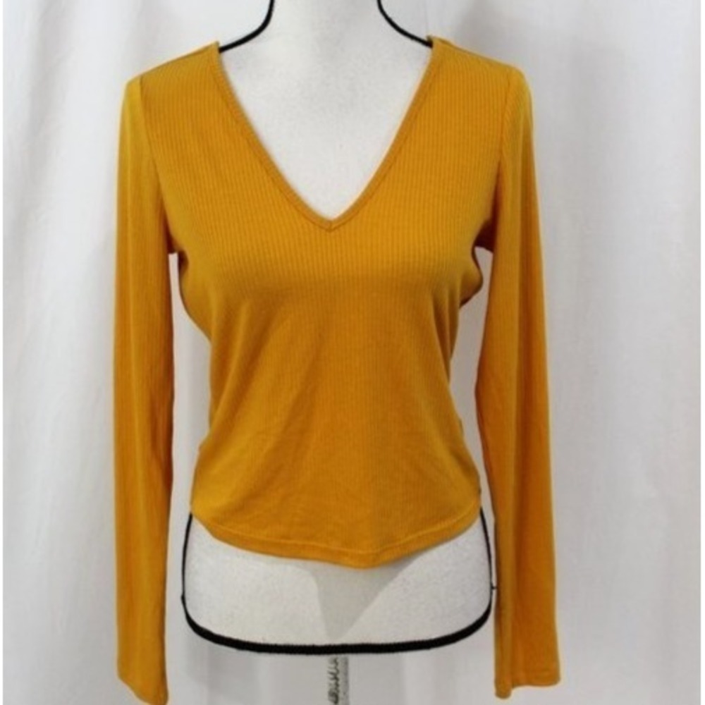 Love, Fire Orange Long Sleeve Crop Top NWT